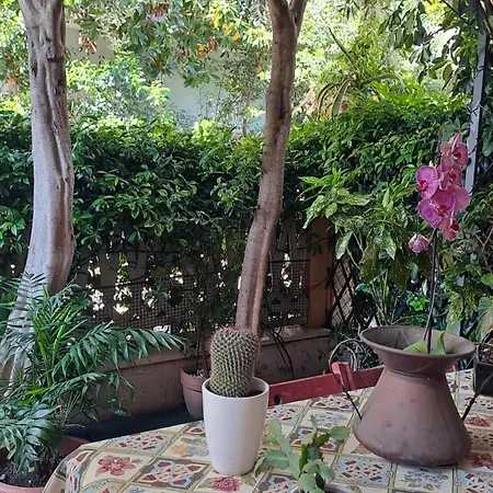Serafina House